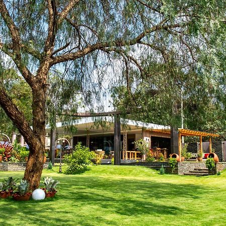 Kinga Homes Boutique Hotel Moshi Exterior photo